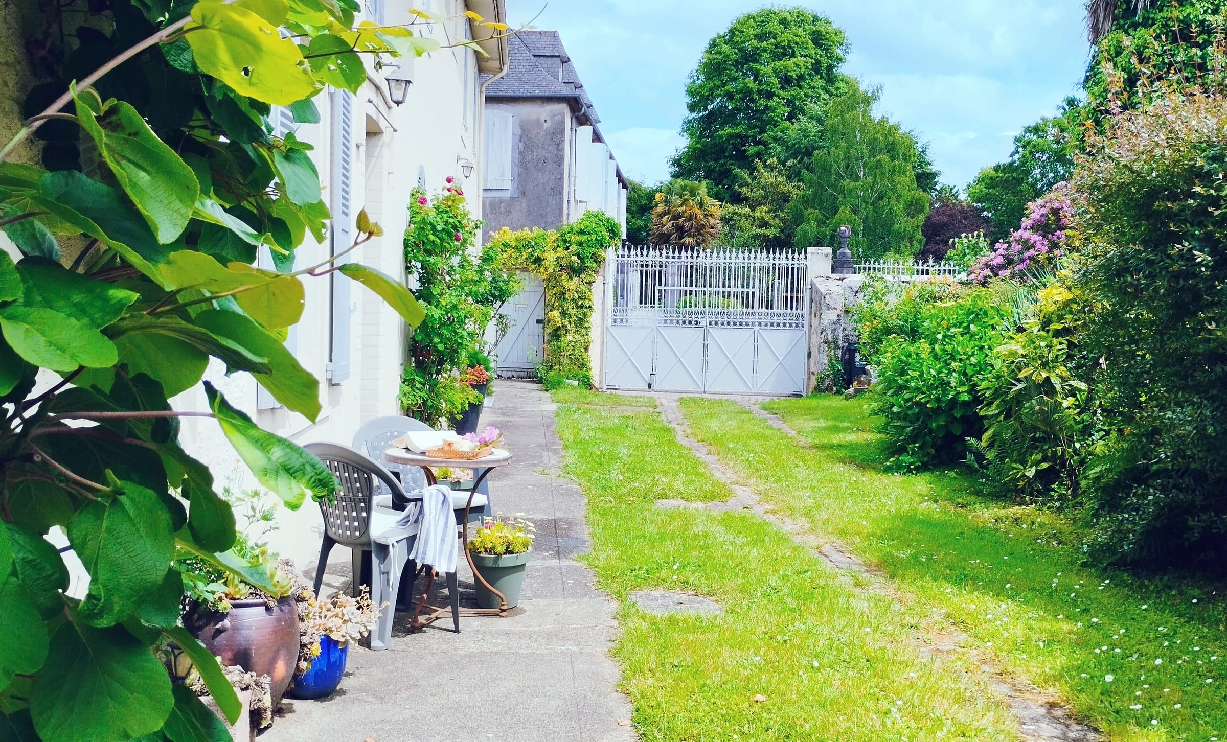 Allée verdoyante le long de la maison