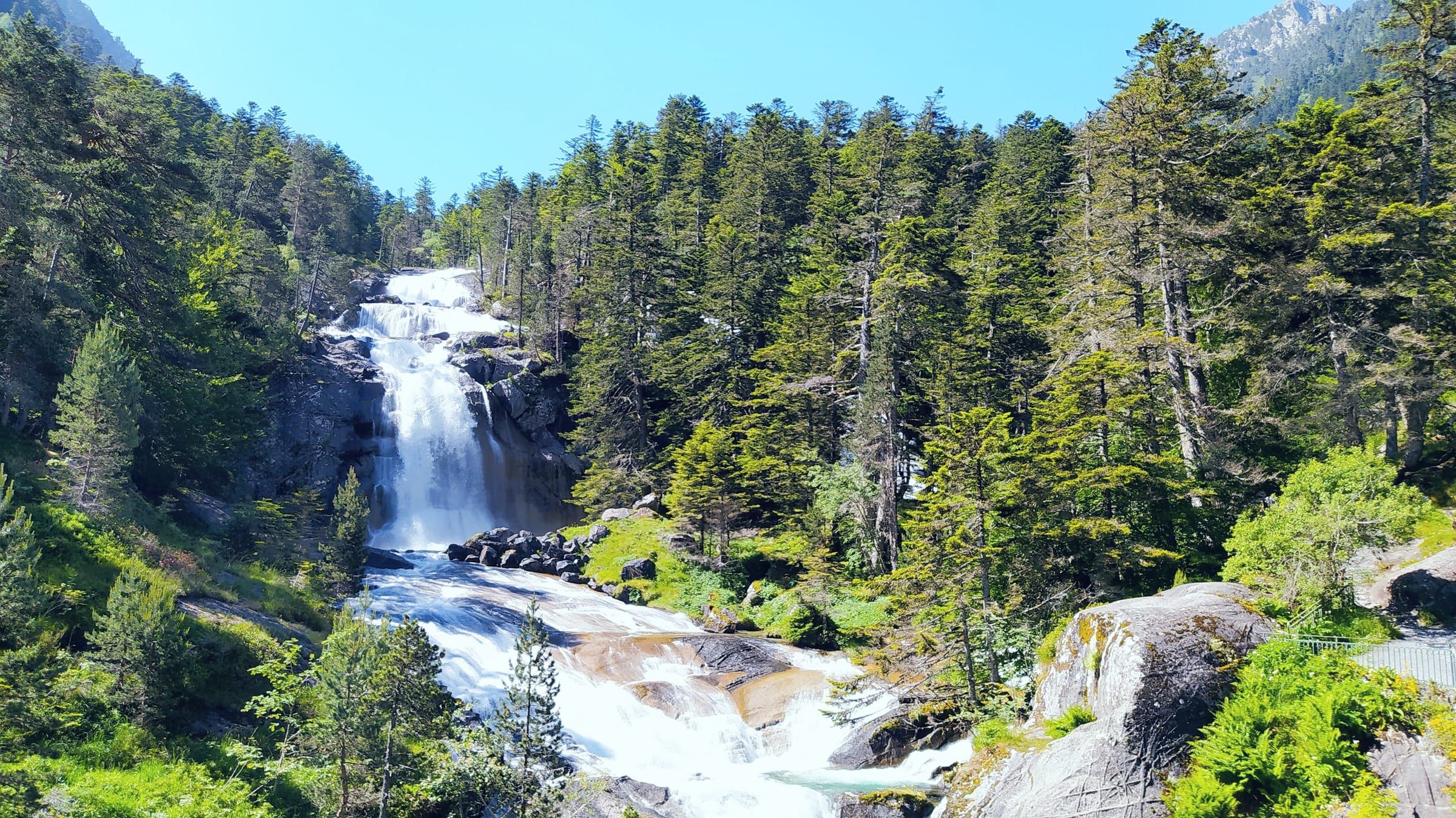 Cascade du Pont d’Espagne entre les sapins près de Cauterets